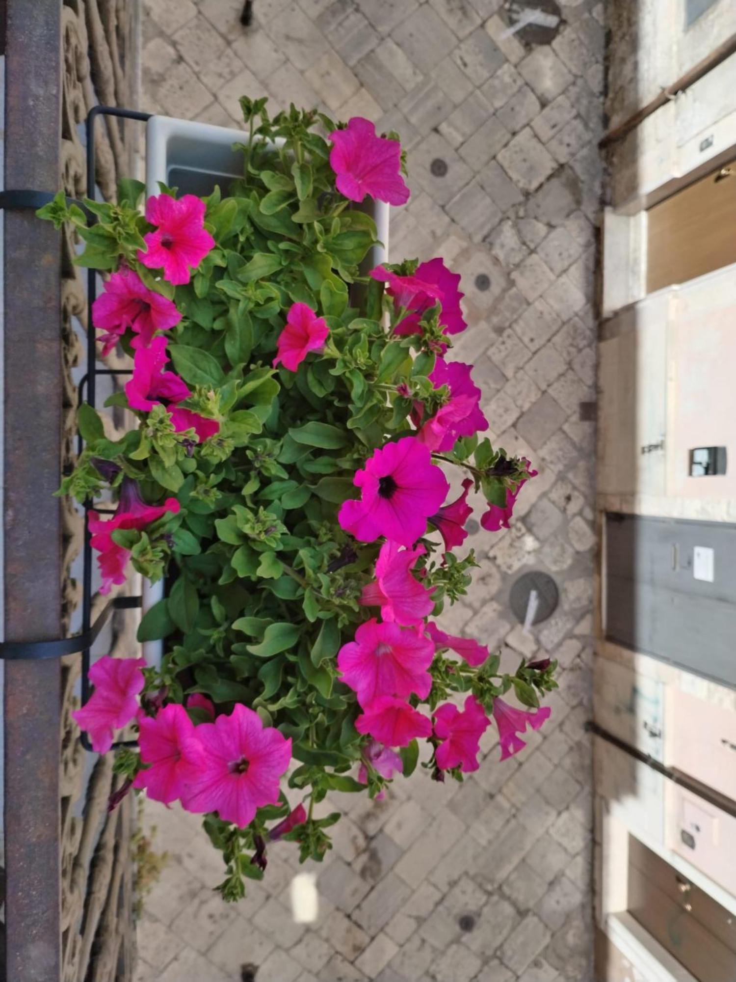 Happy House Salento Apartment Brindisi Luaran gambar